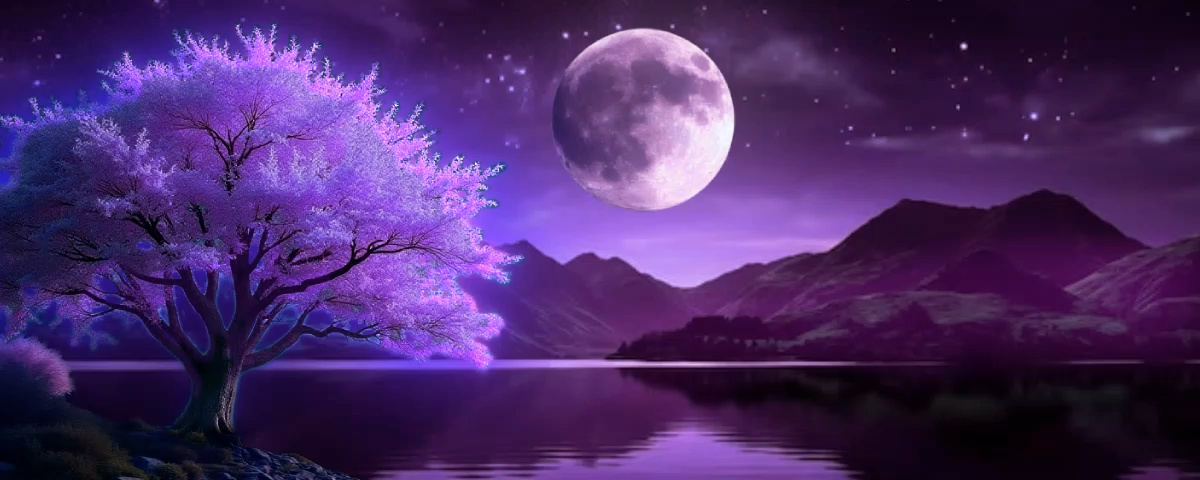 Digital creator packs featuring purple moon stream background.
