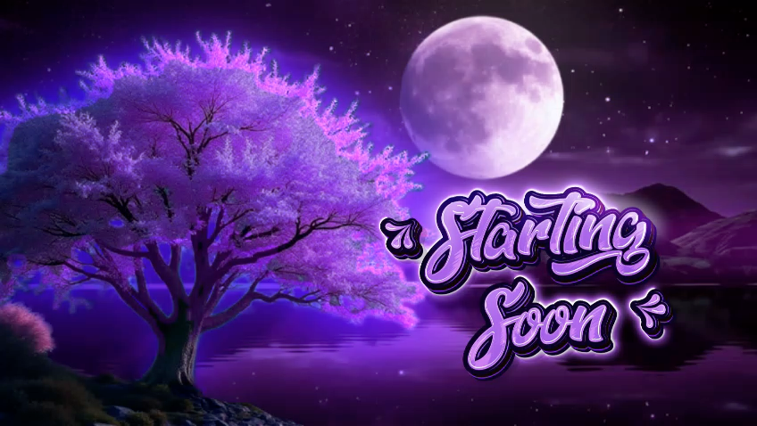 Digital creator packs featuring purple starting-soon stream screen.
